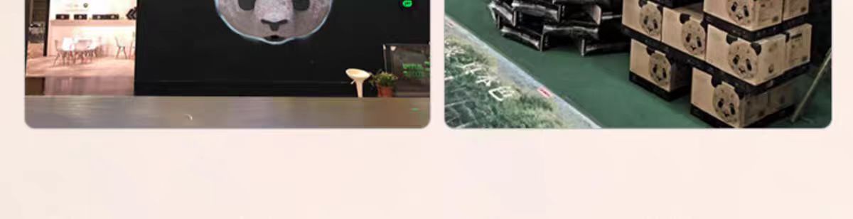 1737597458583153.jpg