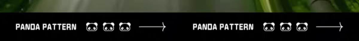 1737611896441870.jpg