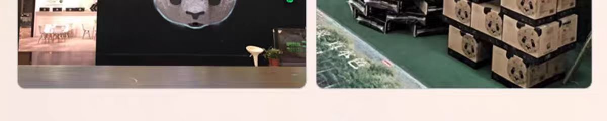 1737613068129606.jpg