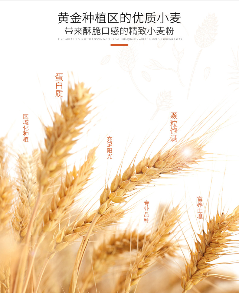 详情-6.jpg